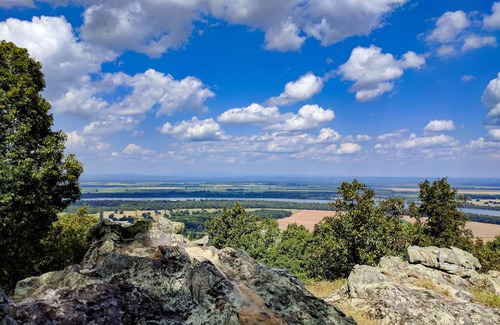 Morrilton House | Private and Secluded! Enjoy the stunning view and wooded surrounding.