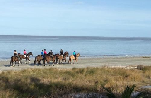 Saint Helena Island House | PRIVATE BEACH - Ocean Front on Coffin Point