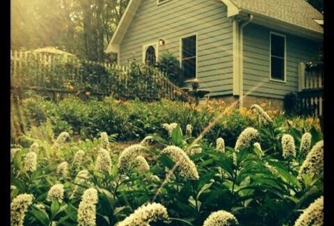 Trenton House | Private Cottage on Lookout Mountain