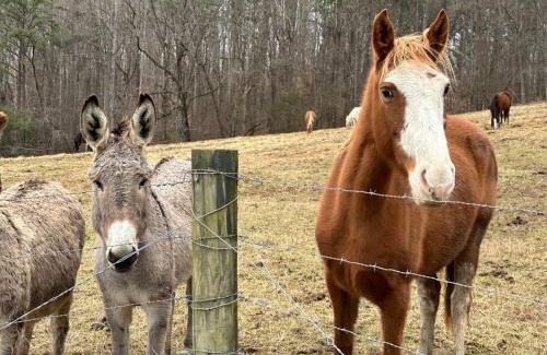 Dandridge House | Private Farmhouse with Hot Tub