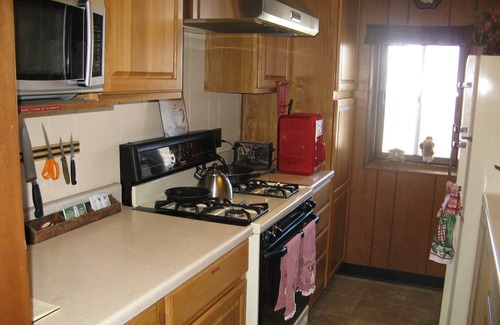 Ouray Cabin | Private Mountain Log Cabin Cabin 3 Miles North Of Ouray