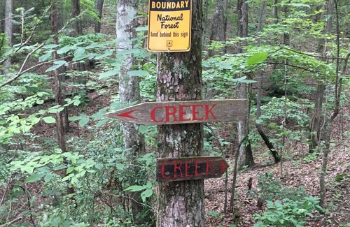 Ellijay Cabin | Private mountain Property, end of the road Privacy