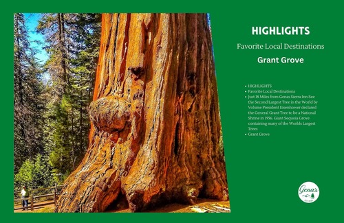 Dunlap Apartment | Private Room #6: Queen + Private Bathroom