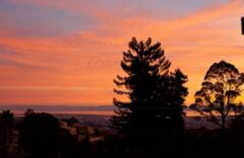 Berkeley Apartment | Private studio in Berkeley Hills