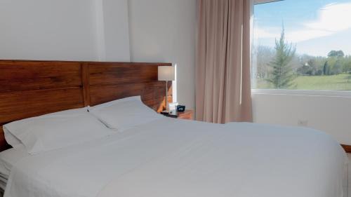 Pilar Centro Hotel | Pro Hotel