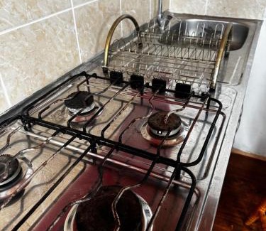 Pichilemu Villa | proteas