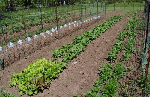 Centerville Bed & Breakfast | Providing a quiet setting to connect with nature