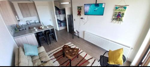 Pucon Apartment | Pucon villarrica