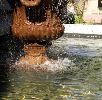 Middelburg House | Pumpkin Tree Guesthouse