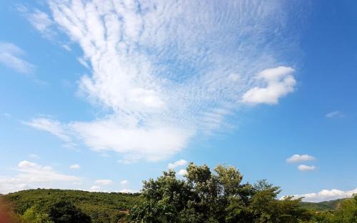 Kafue Cabin | Purview Lodge