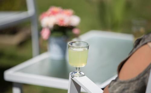 Valdivia Ski Chalet | Pyramidal Park Valdivia