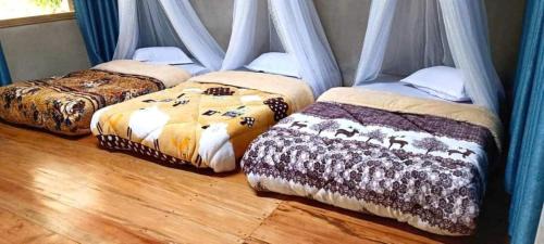 A Luoi Apartment | Quốc Cảnh Homestay