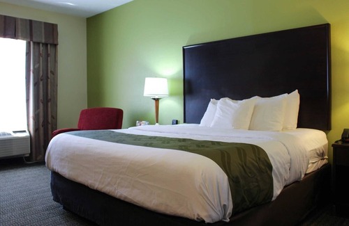 Florence Hotel | Quality Inn Florence Muscle Shoals