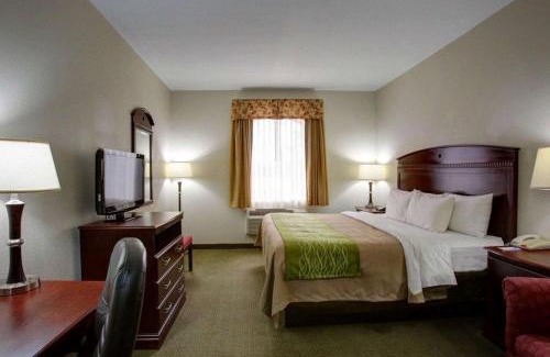 Rockdale Hotel | Quality Inn Rockdale