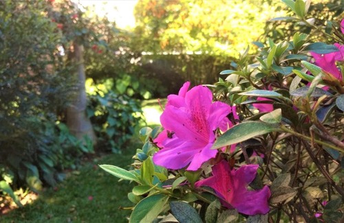 Centro House | Quartos da Vovó