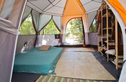 Itacare Other | Que Brota Do Chão