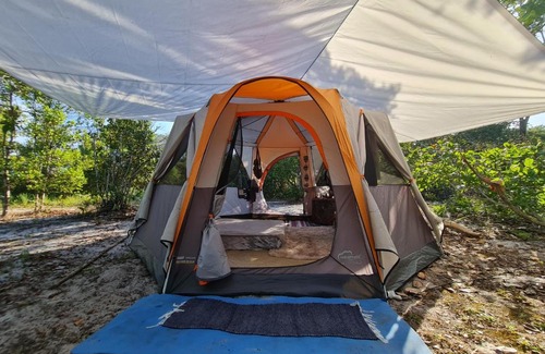 Itacare Other | Que Brota Do Chão