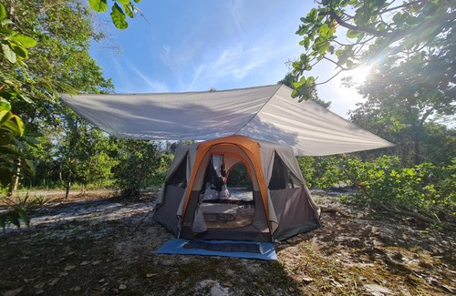 Itacare Other | Que Brota Do Chão