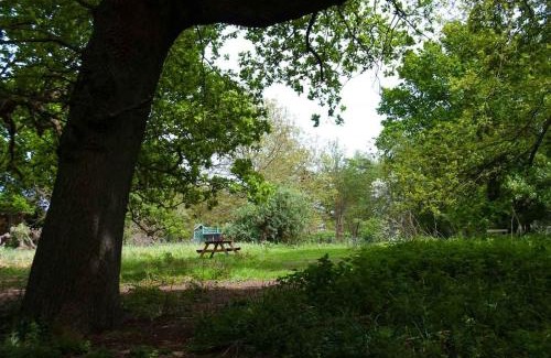 Saxmundham House | Queenies, an authentic Rural Style coastal cottage in a Nature Reserve