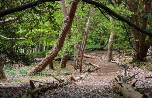 Saxmundham House | Queenies, an authentic Rural Style coastal cottage in a Nature Reserve