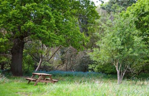 Saxmundham House | Queenies, an authentic Rural Style coastal cottage in a Nature Reserve