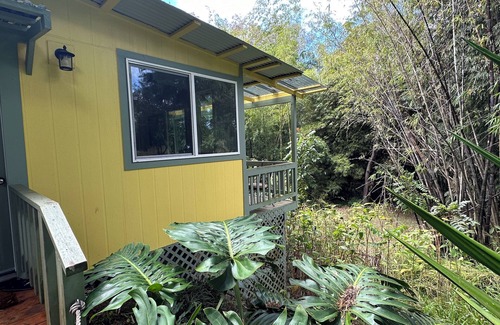 Hawi Apartment | Quiet eco-friendly studio nestled in Bamboo grove minutes from Hawi town