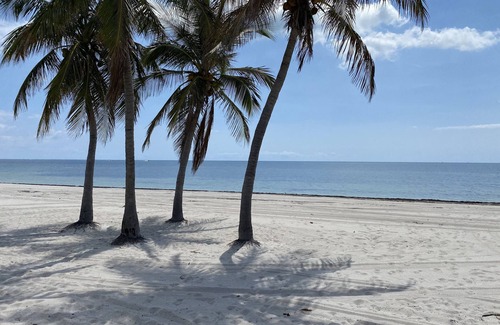 Key Biscayne Condo | Quiet Key Biscayne Apartment Home