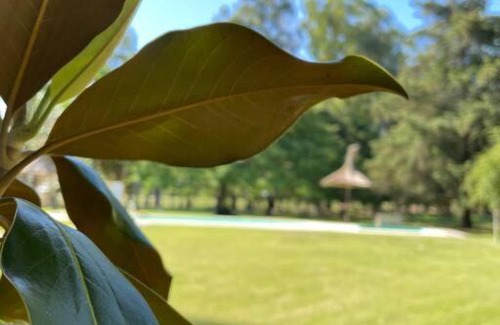 Berna Villa | Quinta Las Amintas