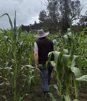 Tenza Ski Chalet | Quinta las Marias, Ecolodge, camping y Tiny wood house