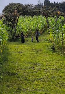 Tenza Ski Chalet | Quinta las Marias, Ecolodge, camping y Tiny wood house