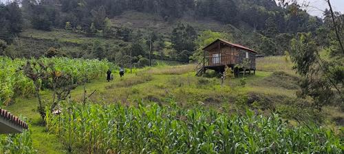 Tenza Ski Chalet | Quinta las Marias, Ecolodge, camping y Tiny wood house