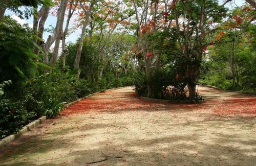 Chichen Itza - Valladolid House | Quinta Pixoy