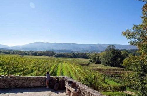 Moncao Apartment | Quinta Vila Nova | Apartamento das Camélias | Agrotourism | Rural Environment