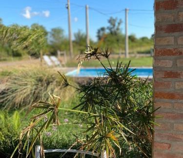 Miramar House | Quinto Elemento