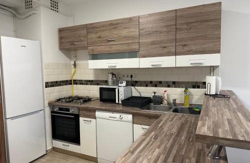 Szolnok Apartment | Rózsakert apartman