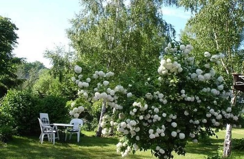 Samtens Apartment | Rügen-Fewo 1380