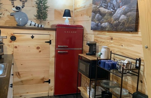 Dunlap Cabin | Raccoon Lodge at Coops Creek Cabins