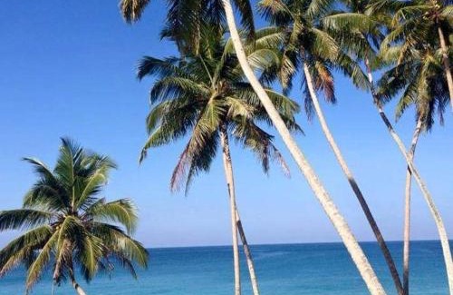 Hikkaduwa Hotel | Rainbow Beach Hotel