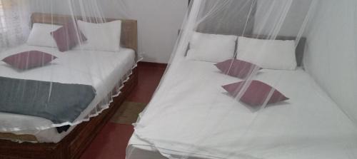 Kotapola Hotel | Rainforest Holiday Inn