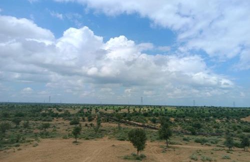 Khattalwada Other | Raisar Desert Camp