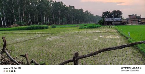 Palia House | Rajendra Homestey