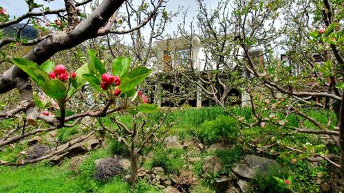 Kalpa House | Raldang view homestay