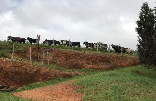 Southeast Region House | Rancho Luna D'oro - Ótimo lugar para descansar