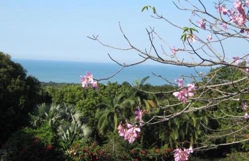 Mtunzini Apartment | raphia on sea