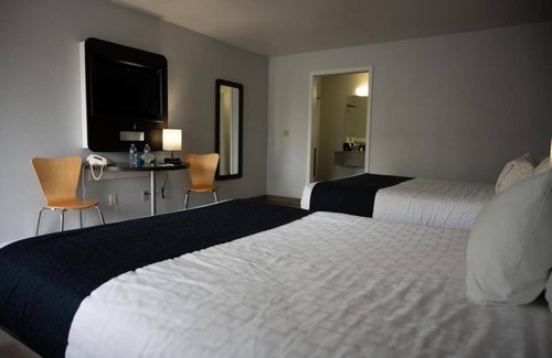 Dillon House | Rare Find! Pet-Friendly Property, Free Breakfast, Close From Outdoor Activity