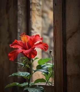 Kandukur Resort | Ravi Gardens