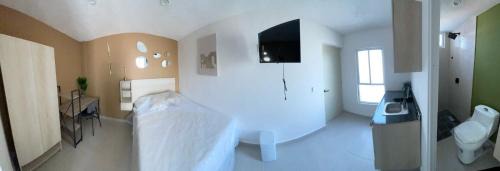 Leon Apartment | RC Studio loft san Jerónimo