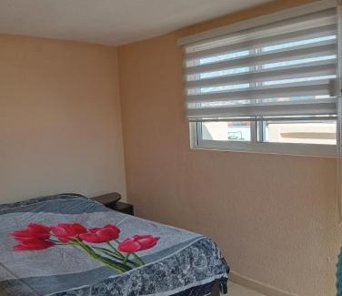 Ixtapalapa Apartment | Recámara céntrica funcional