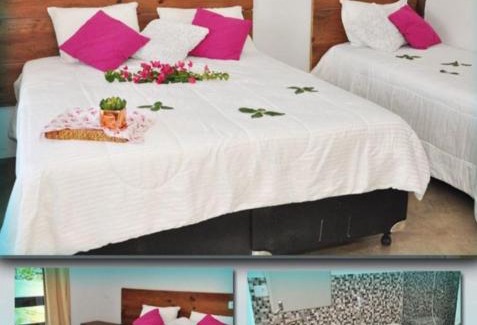 Guapirama House | Recanto das Águas