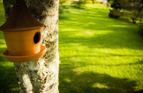 Monte Alegre do Sul House | Recanto dos Beija Flores, Chalé lantana e